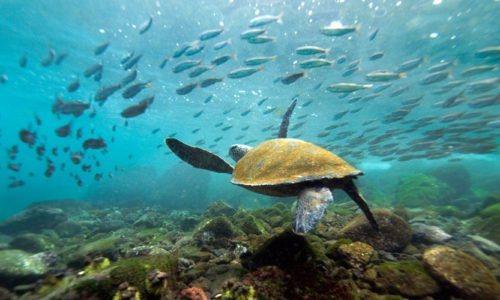 Andaman & Nicobar Islands