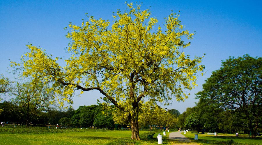 Chandigarh