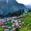 Kasol
