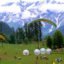 Solang Valley, Solang Nala, Manali, Himachal Pradesh, India, Asia