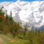 Solang Valley, Solang Nala, Manali, Himachal Pradesh, India, Asia