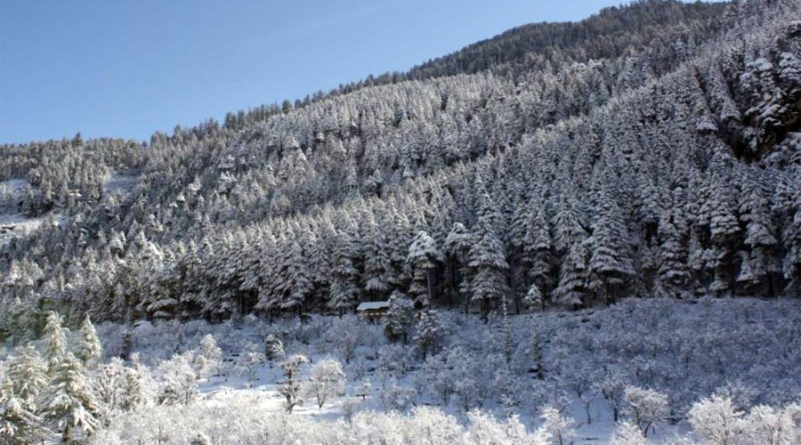 Sarthak Resorts, Manali