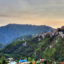 Shimla