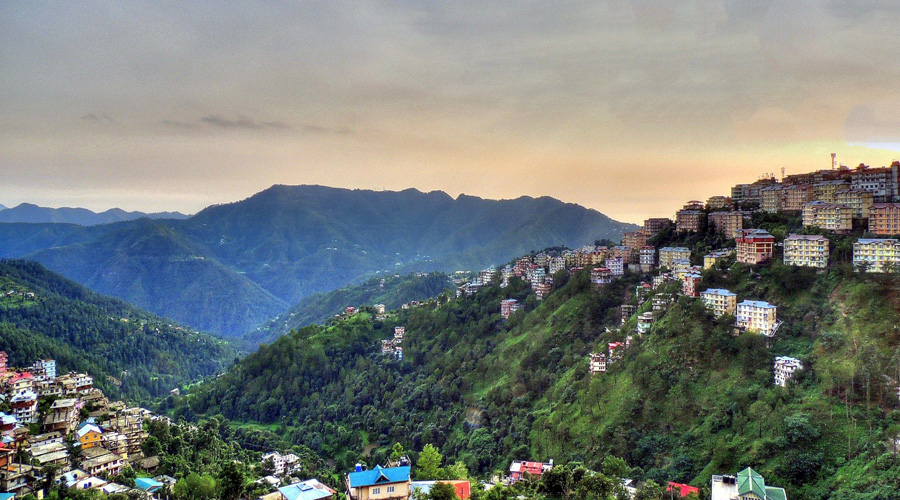 Shimla