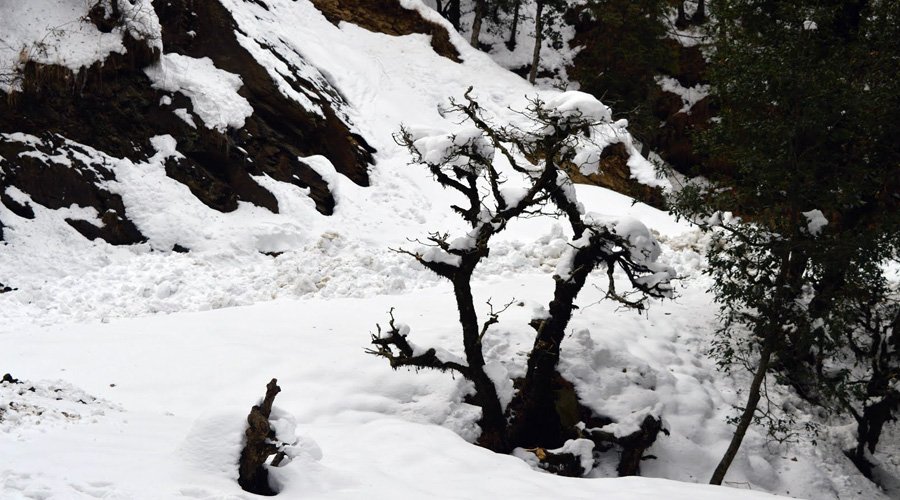 Shimla
