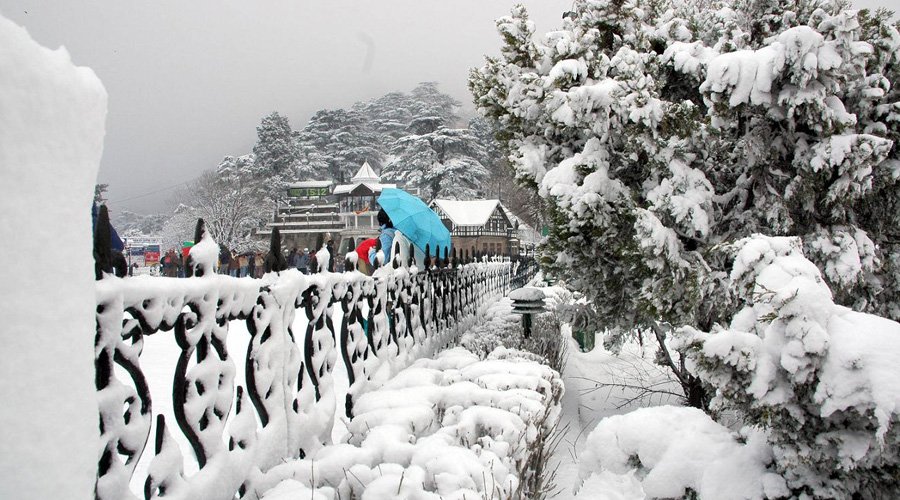 Shimla