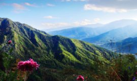 Almora, Uttarakhand, India