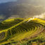 Darjeeling, North East, India