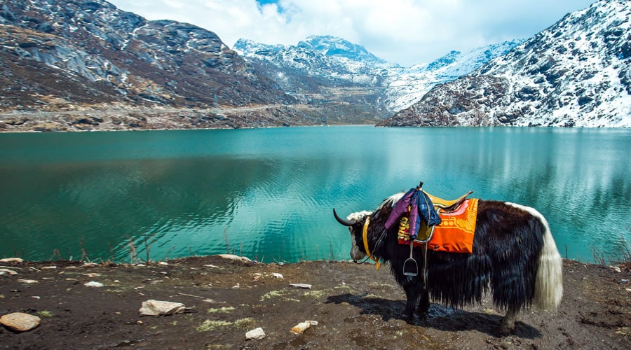 Gangtok - Canggu or Tsomgo Lake