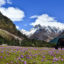 Lachung---Yumthang-Valley