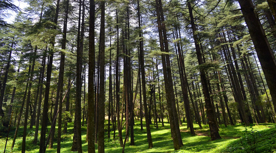 Lansdowne, Uttarakhand, India