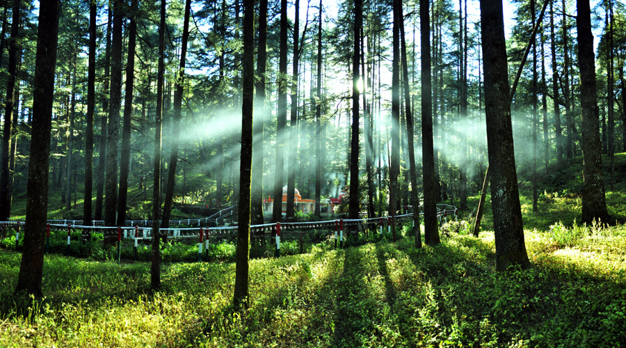 Lansdowne, Uttarakhand, India