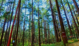 Lansdowne, Uttarakhand, India