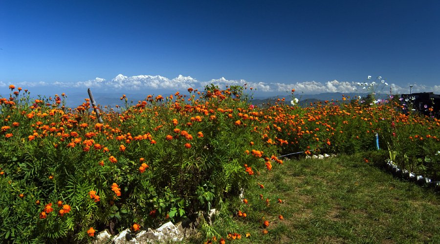 Mukteshwar, Nainital