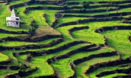 Ranikhet, Uttarakhand, India