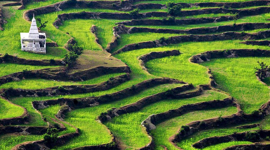 Ranikhet, Uttarakhand, India