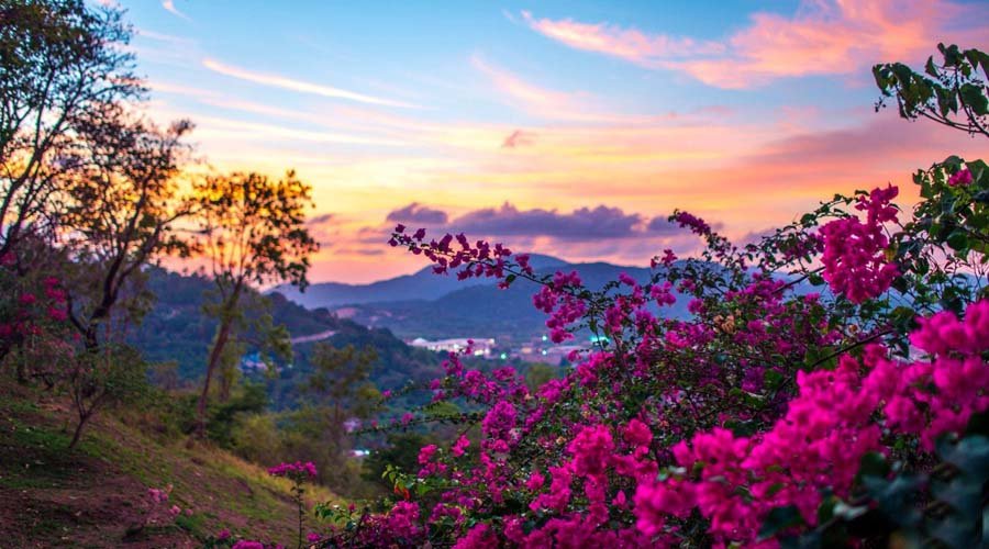 Ranikhet, Uttarakhand, India