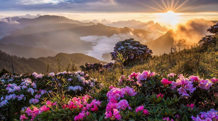 Ranikhet, Uttarakhand, India