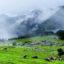 Chopta Valley, Lachen, Gangtok