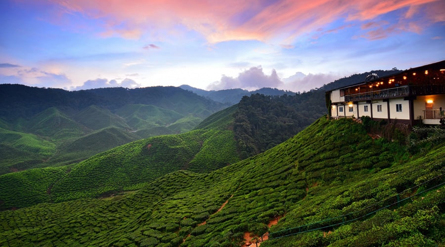 Darjeeling, North East, India