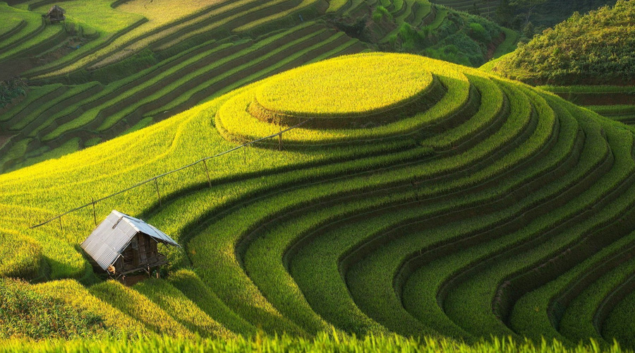 Darjeeling, North East, India