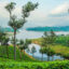 Mattupetty Dam, Munnar, Kerala