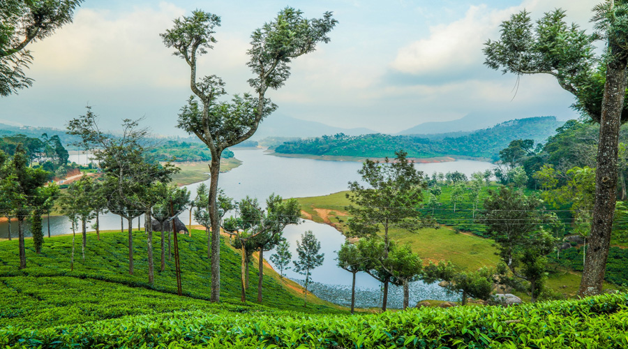 Mattupetty Dam, Munnar, Kerala