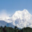 Pelling