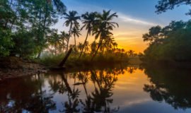 Poovar (Kovalam), Thiruvananthapuram, Kerala