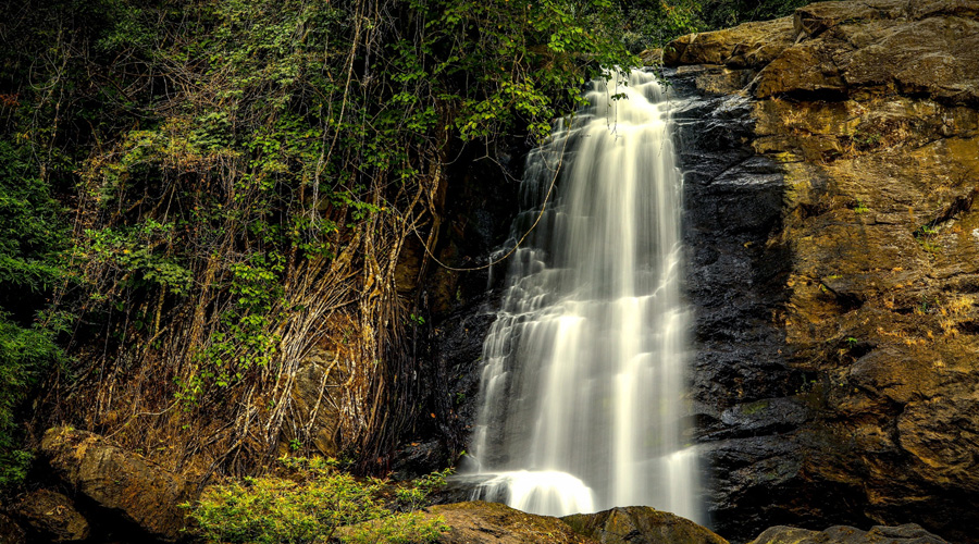 Sentinel Rock Waterfalls, Wayanad, Kerala