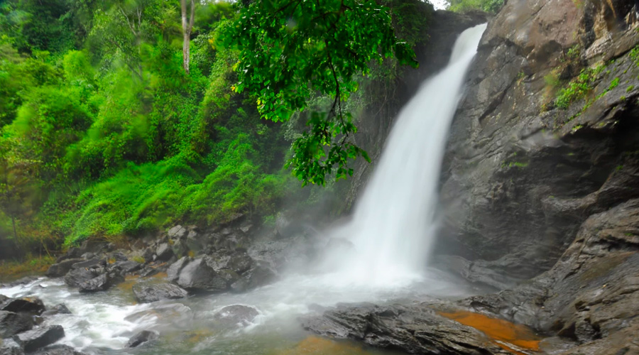 Soochipara Falls Or Sentinel Rock Waterfalls, Vellarimala, Wayanad, Kerala