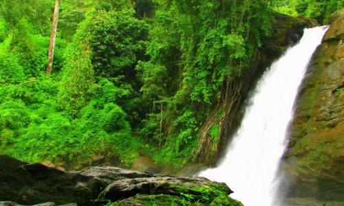 Soochipara Falls Or Sentinel Rock Waterfalls, Vellarimala, Wayanad, Kerala