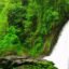 Soochipara Falls Or Sentinel Rock Waterfalls, Vellarimala, Wayanad, Kerala