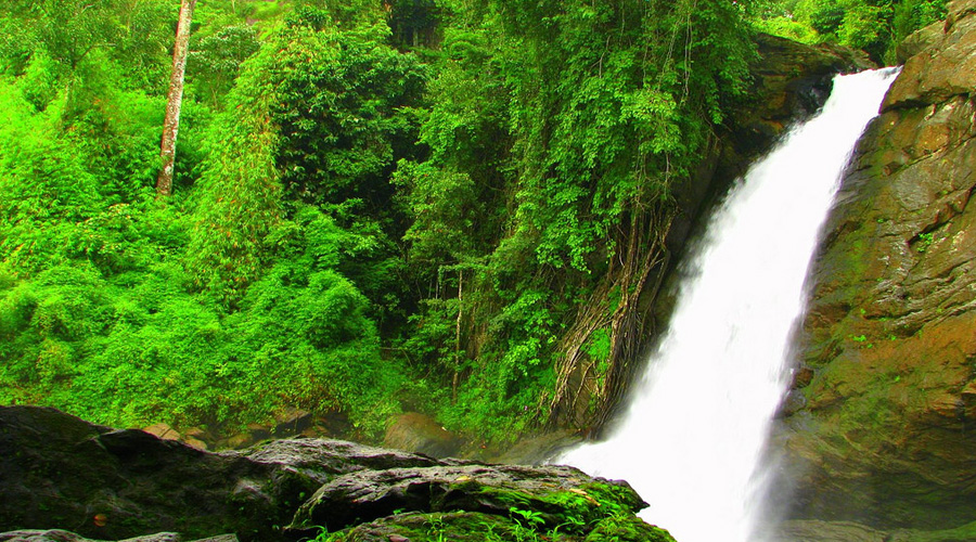 Soochipara Falls Or Sentinel Rock Waterfalls, Vellarimala, Wayanad, Kerala