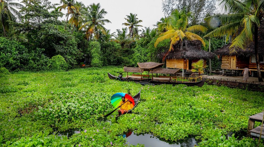 Vembanad Lake, Kumarakom, Kerala