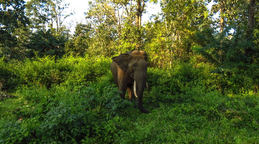 Wayanad, Kerala