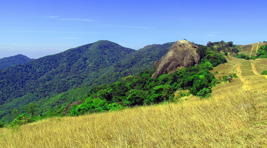 Wayanad Pakshipathalam Bird Sanctuary, Kerala