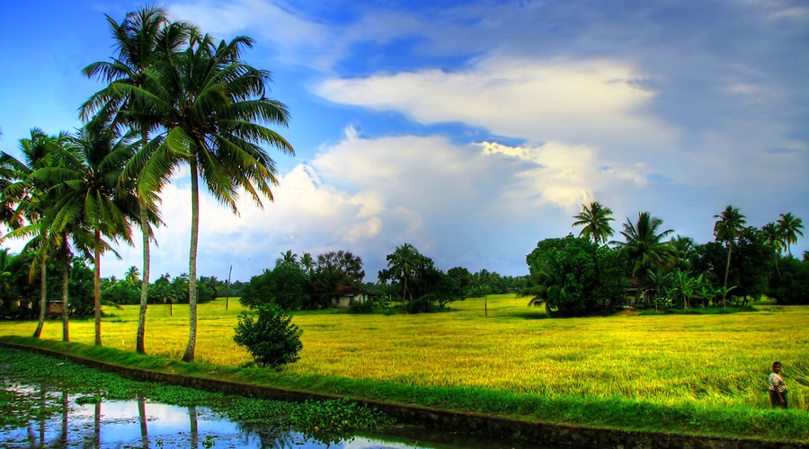 Alappuzha (Alleppey), Kerala