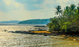 Bambolim Beach, Panjim, North Goa, Goa, India