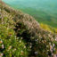 Eravikulam National Park, Munnar, Kerala