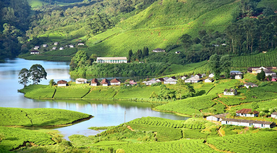 Eravikulam National Park, Munnar, Kerala