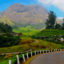 Eravikulam National Park, Munnar, Kerala