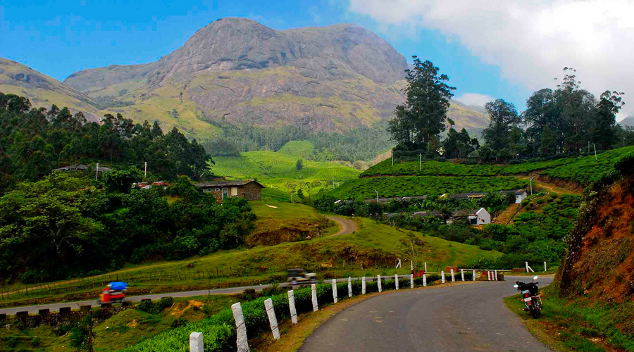 Eravikulam National Park, Munnar, Kerala