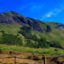 Eravikulam National Park, Munnar, Kerala