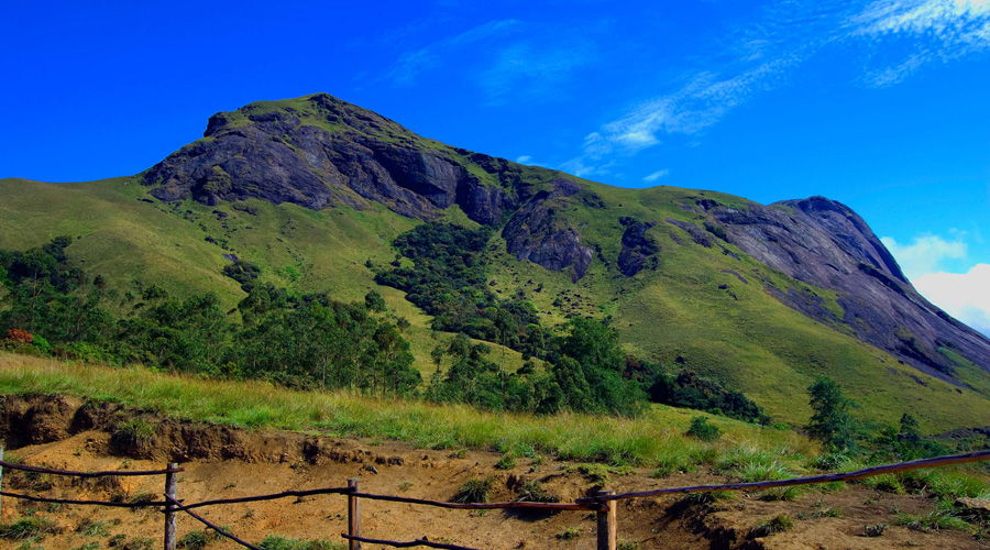 Eravikulam National Park, Munnar, Kerala