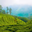 Devikulam, Munnar, Kerala