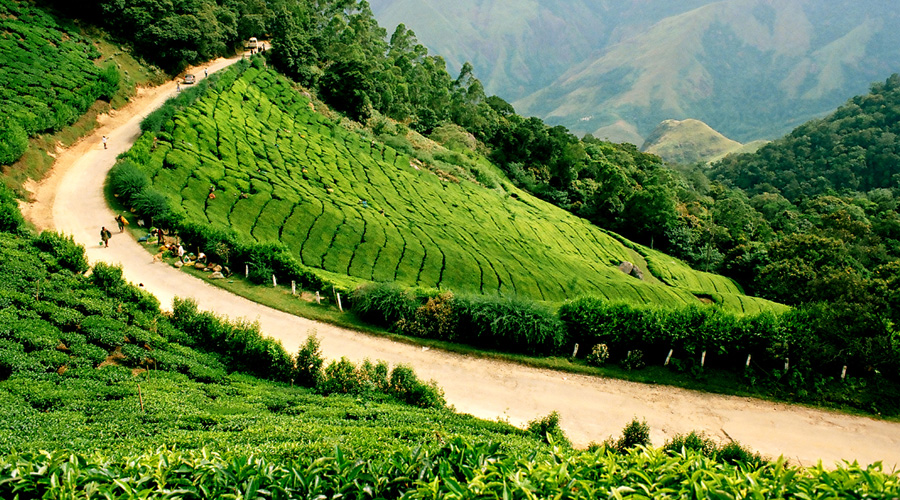 Devikulam, Munnar, Kerala