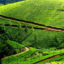 Devikulam, Munnar, Kerala