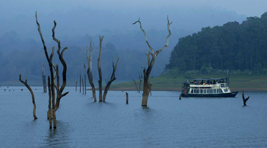 Thekkady, Kerala