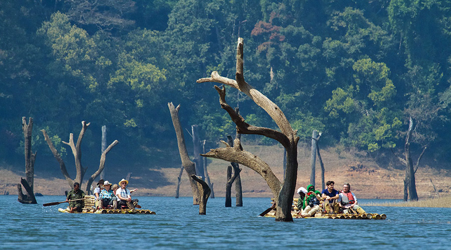 Thekkady, Kerala